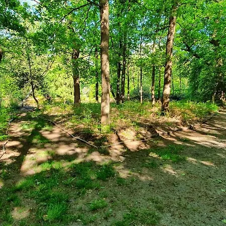Midden In De Friese Bossen Op Landgoed Princenhof Oranjewoud Exterior photo